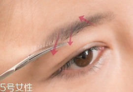 ��ü�Ĳ���,ȫ��ͼ��